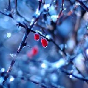 Очень серьезное потепление идет в Ачинск