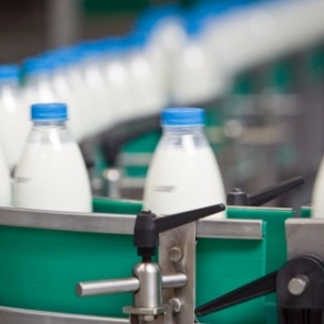 В молоке из магазинов нашли антибиотики и кишечную палочку: список производителей