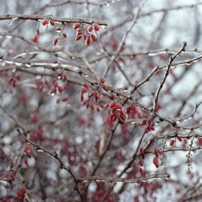 Ачинцев ждет тепло до +10