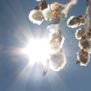 Апрель в Ачинске начнется с похолодания