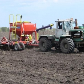 В Красноярском крае зерновыми засеяли 90 % полей