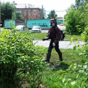 В Ачинске идет аккарицидная обработка