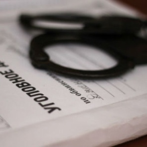 В ачинском садовом обществе полицейскими раскрыта кража