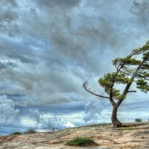 Ученые объяснили причины частых сильных ветров в Сибири