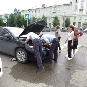 Неравнодушные прохожие полдня спасали котенка из-под капота «Тойоты»