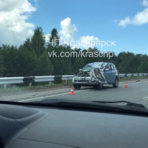 «Тойота» под Ачинском сбила перебегающего дорогу лося