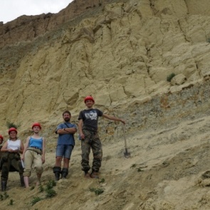 Кости динозавров обнаружили при раскопках под Ачинском