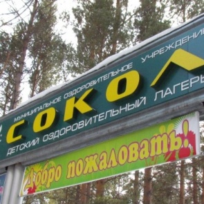 Детей экстренно вывозят из оздоровительного лагеря «Сокол»