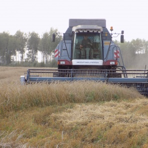 В Красноярском крае началась уборочная кампания