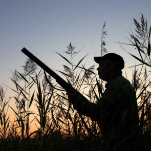 Сезон охоты на пернатых открыт в Красноярском крае