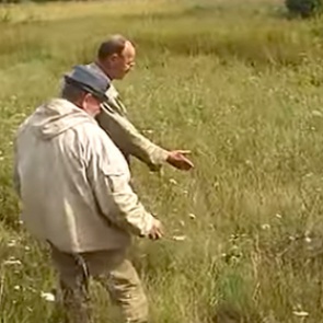 В белорусской деревне пожаловались на нашествие российских медведей