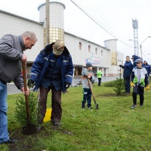 Массовая высадка саженцев в городе продолжается