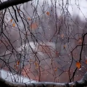 Предупреждение об опасных и неблагоприятных явлениях погоды 14 сентября