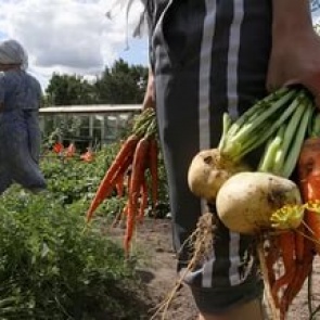 Сотрудники полиции проводят второй этап оперативно-профилактического мероприятия «Урожай»