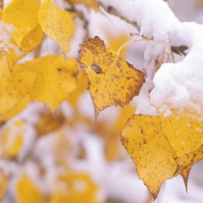 Предупреждение об опасных и неблагоприятных явлениях погоды 27 сентября