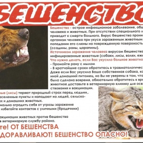 Жителей Красноярского края предупредили о вспышках бешенства