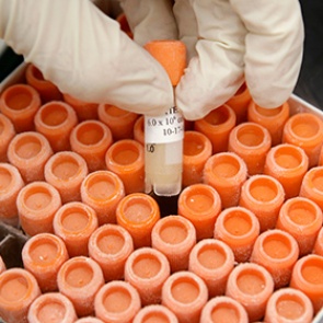 Найдено эффективное средство от старения