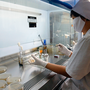 Замедляющая старение таблетка оказалась средством от рака