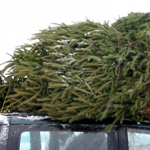 ГИБДД начала проверять машины с ёлками внутри