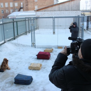 Ачинские журналисты поздравили полицейских служебных собак с наступающим праздником