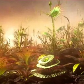 Доказано спонтанное появление жизни