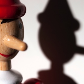 Сотрудники полиции предупреждают граждан об уголовной ответственности за заведомо ложный донос