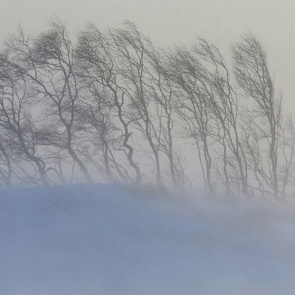 Синоптики обещают метель и сильный ветер