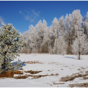 Синоптики обещают в марте крепкие морозы