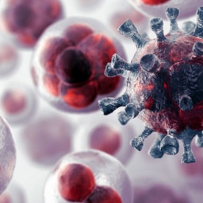 Создана полностью уничтожающая рак вакцина