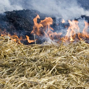 В Красноярском крае ввели противопожарный режим