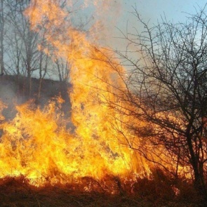 В Красноярском крае штрафуют сжигающих мусор дачников