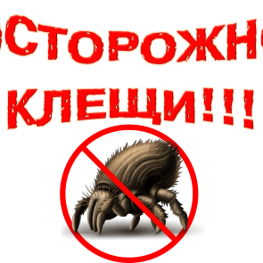 Почти тысяча человек пострадала от клещей на этой неделе