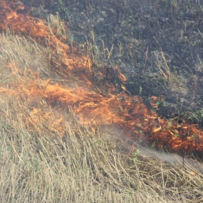Ачинские участковые уполномоченные полиции проверили садовые общества