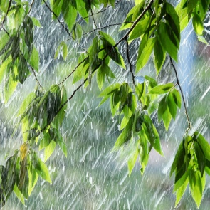 В пятницу нас ждет похолодание