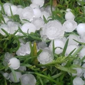 Град размером с перепелиное яйцо уничтожил будущий урожай ачинских дачников