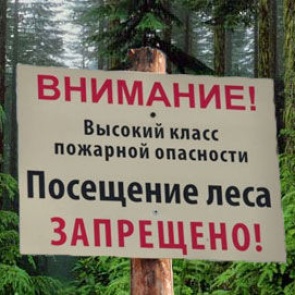 В лесах Красноярского края действует режим чрезвычайной ситуации
