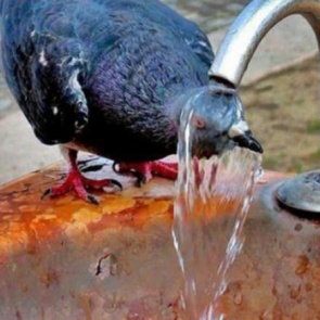 ЕДДС: рекомендации населению в связи с установившейся жаркой погодой