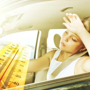 Госавтоинспекция в Ачинске призывает водителей не оставлять детей и животных в салонах автомобилей в жаркую погоду