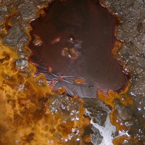 В Норильске лужу с ржавчиной приняли за кровавый дождь