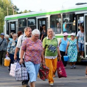 Вниманию садоводов! Завтра на дачные автобусные маршруты выходят новые перевозчики