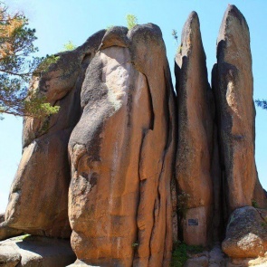 Медведи ушли из туристической зоны «Столбов»