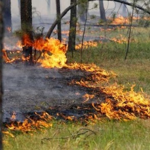 ЕДДС, ГО и ЛЧС напоминает ачинцам о необходимости соблюдения правил пожарной безопасности