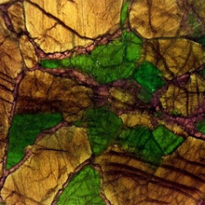 Объяснена причина самой страшной катастрофы на Земле