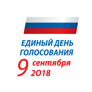 ЛДПР вышла на первое место на выборах в Горсовет Красноярска