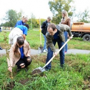 Зеленая волна: 8 октября городские власти приглашают ачинцев принять участие в акции «Посади дерево»