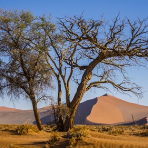Предсказано неизбежное наступление катастрофических засух