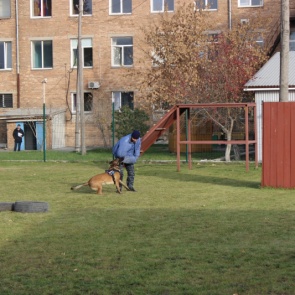 Межмуниципальный отдел МВД России «Ачинский» присоединился к проведению Всероссийской акции «Неделя без турникетов»