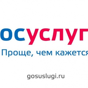 Полицейские напоминают о преимуществах получения госуслуг в электронном виде