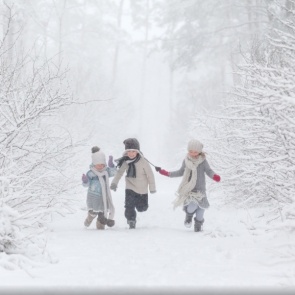 Штормовой ветер и мокрый снег оборвали провода в Красноярском крае и Хакасии