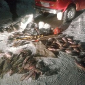 В Минусинске задержали браконьера с уловом в 53 тысячи рублей